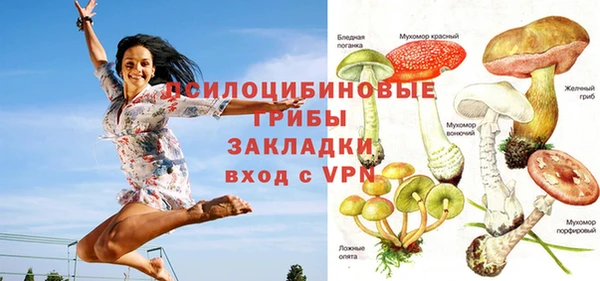 каннабис Гусиноозёрск