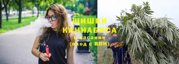 jwh Гусь-Хрустальный